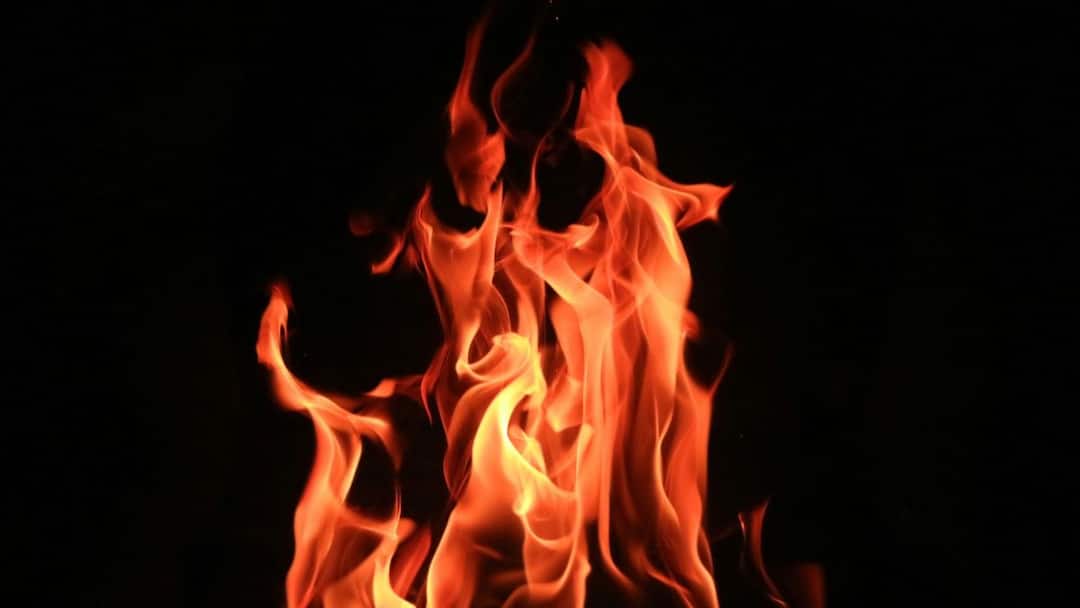 Punjab Discom Establishes Control Room To Prevent Wheat Crop Fires Punjab Discom Establishes Control Room To Prevent Wheat Crop Fires Punjab Discom Establishes Control Room To Prevent Wheat Crop Fires