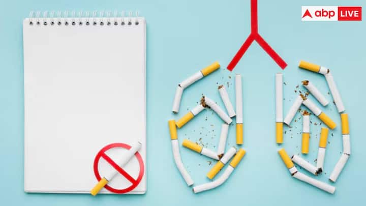 टीबी हवा में फैलता है, खासकर खराब हवादार जगहों पर. खिड़कियां खुली रखने से ताज़ी हवा का संचार होता है. खराब वेंटिलेशन वाली भीड़-भाड़ वाली जगहों से बचें। इनडोर पौधे या एयर प्यूरीफायर हवा की गुणवत्ता को बढ़ाते हैं. अस्पताल या सार्वजनिक परिवहन जैसे उच्च जोखिम वाले वातावरण में मास्क पहनना टीबी बैक्टीरिया के संपर्क को कम करता है.