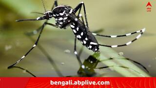 KMC On Dengue: ডেঙ্গি প্রকোপ এড়াতে আগাম সতর্কতা, ৬৮টি ওয়ার্ডকে 'বিপজ্জনক' চিহ্নিত কলকাতা পুরসভার !
