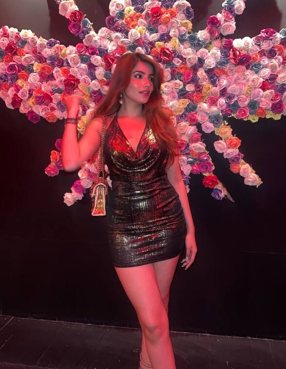 ਇਸ ਤੋਂ ਬਾਅਦ ਉਸਨੂੰ ਮਾਡਲਿੰਗ ਦੀਆਂ ਪੇਸ਼ਕਸ਼ਾਂ ਮਿਲੀਆਂ। ਉਸਨੇ 3 ਸਾਲ ਮਾਡਲਿੰਗ ਕੀਤੀ। ਇਸ ਤੋਂ ਬਾਅਦ ਉਸਨੇ ਇੱਕ ਕੱਪੜੇ ਦਾ ਬ੍ਰਾਂਡ ਸ਼ੁਰੂ ਕੀਤਾ।