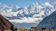 10 देशांमध्ये भारतीय रुपयाचा डंका, 1 लाख रुपये घेऊन गेलात तर कोट्याधीश व्हाल!