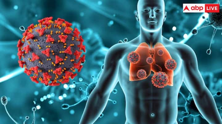 दिन में 30 मिनट तक तेज चलना रक्त प्रवाह को बढ़ाने में प्रभावी है. गहरी साँस लेने के व्यायाम फेफड़ों को मजबूत बनाते हैं और संक्रमण के हमलों को झेलने में अधिक सक्षम बनाते हैं. योग या साइकिल चलाने जैसे हल्के व्यायाम भी समग्र फिटनेस को बढ़ाते हैं, जिससे टीबी और अन्य फेफड़ों की बीमारियों का जोखिम कम होता है.