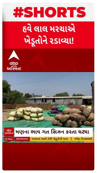 Mehsana Farmer: હવે લાલ મરચાએ ખેડૂતોને રડાવ્યા, મહેસાણા જિલ્લામાં ખેડૂતો પરેશાન