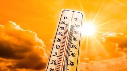 Gujarat Heat: કાળઝાળ ગરમીનો કહેર,  રાજ્યના આ શહેરમાં હીટવેવની કરાઈ આગાહી