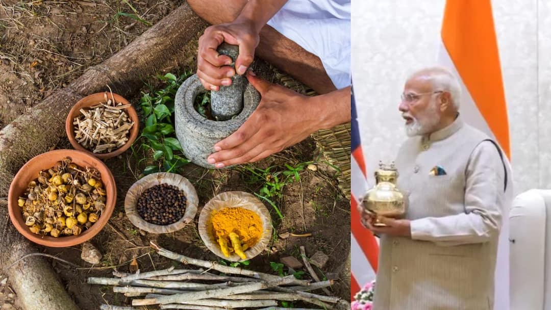 Siddha Ayush Ministry: சித்த மருத்துவத்தை திருடும் ஆயுர்வேதம்? ஆதரவாக மோடி அரசு? கொதிக்கும் தமிழ் சமூகம்