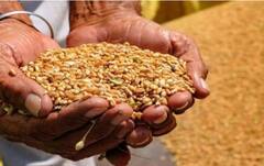 Punjab News: ਪੰਜਾਬ ਵਾਸੀ ਹੋ ਜਾਣ ਸਾਵਧਾਨ! ਜਾਣੋ ਕਿਉਂ ਕੱਟੇ ਜਾਣਗੇ ਰਾਸ਼ਨ ਕਾਰਡ ? ਲੋੜਵੰਦਾਂ ਨੂੰ...