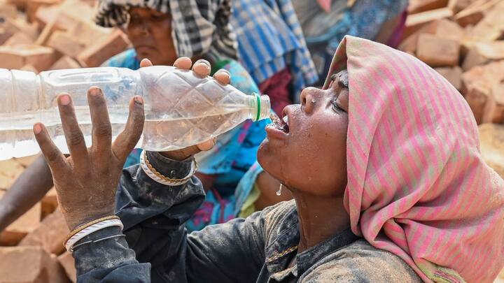 সপ্তাহান্তে উষ্ণতার ছোঁয়া ফিরবে কলকাতায়! স্বাভাবিকের বেশ কিছুটা উপরে থাকতে পারে পারদ। দিনের সর্বোচ্চ তাপমাত্রা শনিবারের মধ্যে ৩৬ ডিগ্রি সেলসিয়াস ছুঁতে পারে।