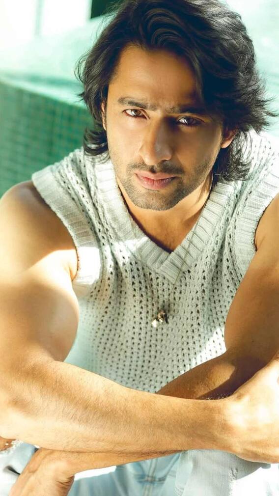 एक्टिंग ही नहीं इस बिजनेस से भी करोड़ों कमाते हैं शहीर शेख