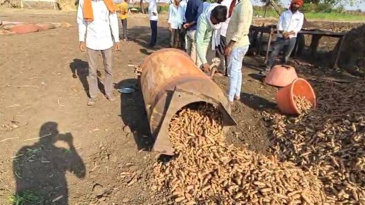 स्फोट इतका जबरदस्त होता की कुकरचे तुकडे तब्बल 600 फूटांपर्यंत उडून गेले. या अपघातात चार शेतकरी गंभीर जखमी झाले असून, त्यांना तातडीने उपचारासाठी नांदेडच्या शासकीय रुग्णालयात हलवण्यात आले आहे.