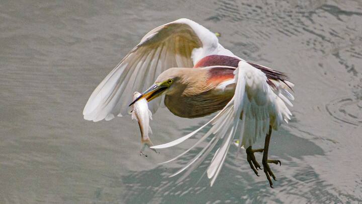 দক্ষিণবঙ্গ যখন গরমে পুড়বে, তখন উত্তরবঙ্গে বৃষ্টির সম্ভাবনা। বৃহস্পতিবার থেকে দার্জিলিঙে বৃষ্টি শুরু হবে। সপ্তাহান্তে দার্জিলিং, কালিম্পং ছাড়াও জলপাইগুড়ি, কোচবিহার ও আলিপুরদুয়ার, এই ৫ জেলায় বৃষ্টির পূর্বাভাস রয়েছে। 