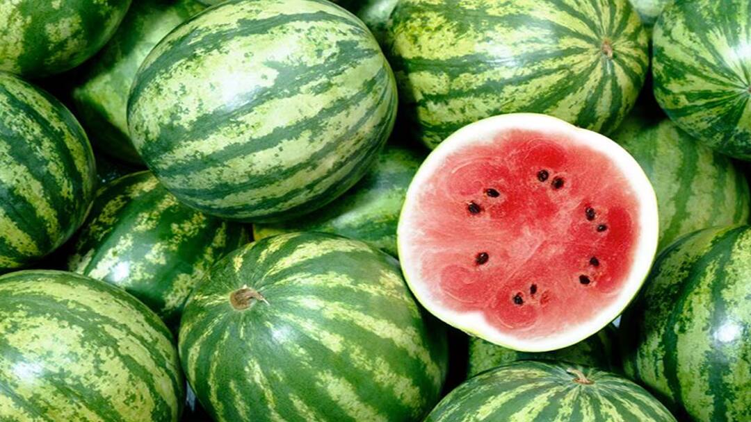 Watermelon season has begun to mitigate the effects of the heat sales are booming in Theni tnn வெயிலின் தாக்கத்தை தணிக்க தொடங்கியது தர்பூசணி சீசன் - தேனியில் களைகட்டும் விற்பனை