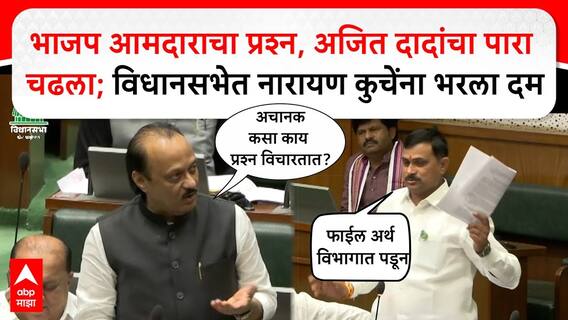 Ajit Pawar vs Narayan Kuche :भाजप आमदाराचा प्रश्न,दादांचा पारा चढला;विधानसभेत नारायण कुचेंना भरला दम
