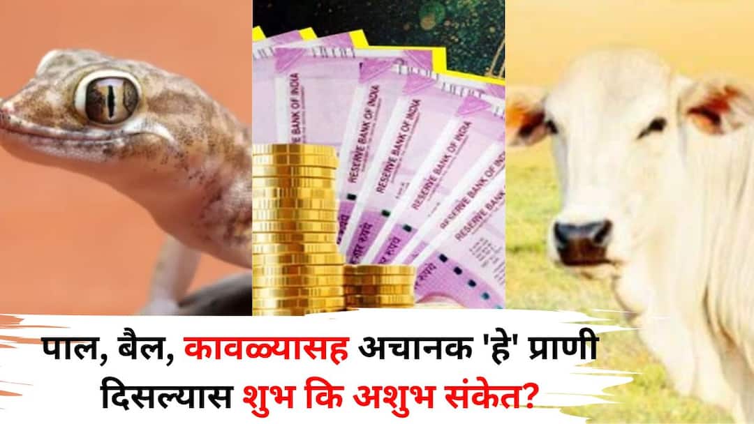 Shakun Shashtra: अचानक 'हे' प्राणी दिसल्यास शुभ कि अशुभ संकेत? मनात असेल संभ्रम तर एकदा पाहाच.. शकुनशास्त्रात म्हटलंय.. Shakun Shashtra astrology marathi news suddenly see this animal good or bad sign Omen Science says Shakun Shashtra: अचानक 'हे' प्राणी दिसल्यास शुभ कि अशुभ संकेत? मनात असेल संभ्रम तर एकदा पाहाच.. शकुनशास्त्रात म्हटलंय..