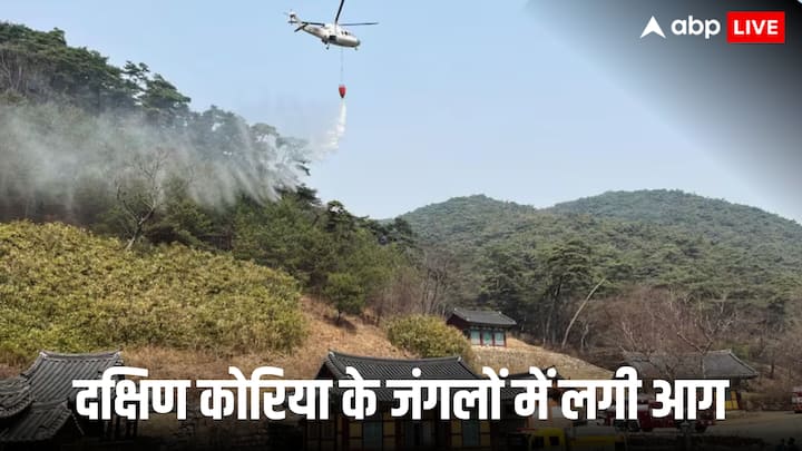 South Korea Forest Fire : भारत का दोस्त दक्षिण कोरिया इस वक्त भयानक आपदा से जूझ रहा है. साउथ कोरिया के दक्षिण-पूर्वी इलाके के जंगल में आग लग गई है. इस भयानक आग के कारण लाखों लोग बेघर हो गए हैं.