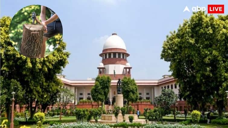 Supreme Court Imposes heavy fine for Illegal Tree Cutting in Taj Trapezium Zone Save Trees Deforestation Supreme Court: 454 पेड़ों की अवैध कटाई, कोर्ट ने ठोका भारी जुर्माना, कहा- 'ये इंसान की हत्या से बड़ा...'