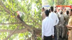 Mumbai News: विधानभवनाच्या बाहेर तरूणाचं झाडावरती चढून आंदोलन, खाली उतरवण्यासाठी प्रयत्न सुरू, काय आहे त्याची मागणी?