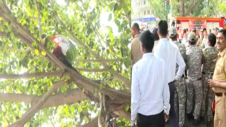 विधान भवनाच्या बाहेर असलेल्या झाडावरती चढून एका तरुणाने आंदोलन सुरू केलं आहे. सेंद्रीय माॅलची संकल्पना असल्याचा बॅनर हातात घेऊन तो झाडावरती आंदोलन करत आहे.