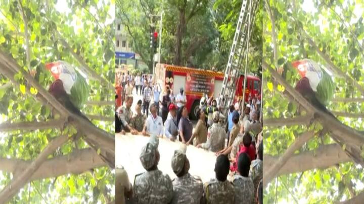 या तरुणाला झाडावरून खाली उतरवण्यासाठी पोलीसांचा मोठा फौजफाटा या परिसरात दाखल झाला. विधानभवन परिसरामध्ये हा सर्व प्रकार घडलेला आहे.