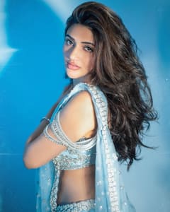 Sreeleela Channels Ethnic Glam In A Beautiful Embellished Saree, See Pics