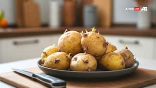 क्या वाकई जहर की तरह होता है अंकुरित आलू? ये होते हैं इसे खाने के नुकसान