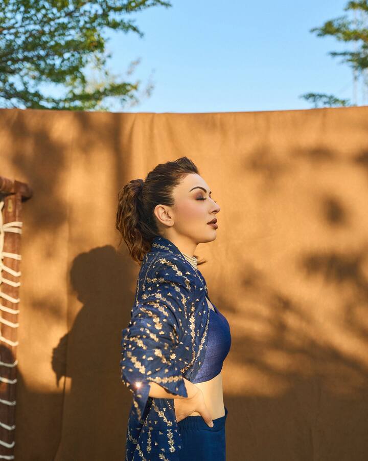 हंसिकाने फिल्मी दुनियेत नाव कमावायला सुरुवात केली आणि फॅन फॉलोइंग झपाट्याने वाढले.