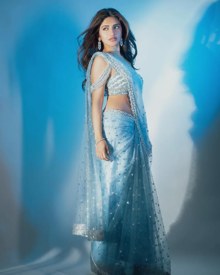 નેટ સાડી સાથેનો આ મોતી ડિઝાઇન કરેલો બ્લાઉઝ તેના લુકમાં વધારો કરી રહ્યો છે. દરમિયાન તેણે પોતાના વાળ ખુલ્લા રાખ્યા હતા