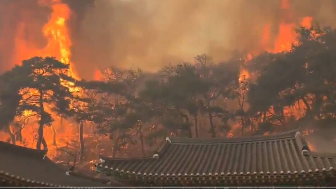 South Korean ancient temple destroyed citizens Andong advised evacuate wildfires spread इस देश में आग में जलकर प्राचीन मंदिर नष्ट, क्या कोई मुस्लिम देश है, जानिए