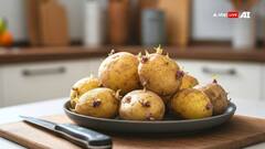 Health Tips: શું ખરેખર ઝેર સમાન છે અંકુરિત બટાકા? તેને ખાશો તો આવશે ગંભીર પરિણામ