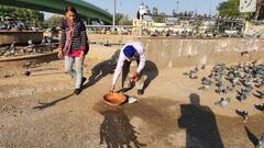 दिल्ली में अब कबूतरों को दाना डालना पड़ेगा महंगा! MCD लगाएगी जुर्माना, चालान सीधे घर पहुंचेगा