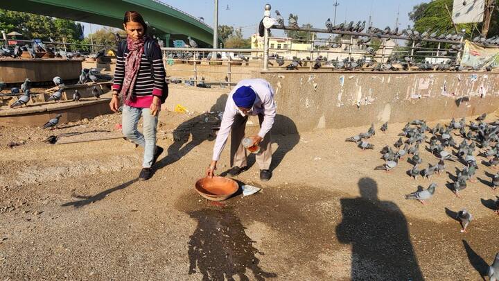 बाद में ट्रैफिक पुलिस की मदद से मालिक की पहचान कर चालान सीधे घर भेजा जाता है. अभी तक करीब 10 से ज्यादा लोगों की पहचान हो चुकी है और 5 चालान जारी किए जा चुके हैं.