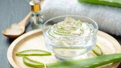 Aloe Vera Juice: অ্যালোভেরা জুস স্বস্তি দেবে এই গরমে ! রোজ খেলে কী কী উপকার ?