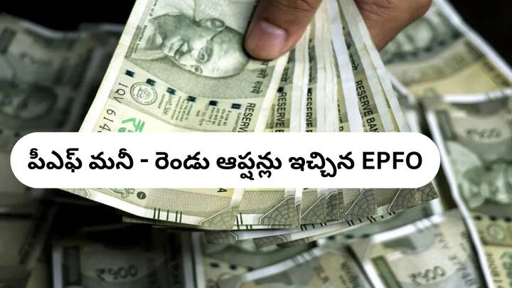 EPFO gives two options to withdraw PF money know the online withdrawal process and rules 2025 PF Withdrawal: పీఎఫ్‌ విత్‌డ్రా చేయడానికి రెండు ప్రధాన ఆప్షన్లు, ఏది ఎంచుకుంటారో మీ ఇష్టం