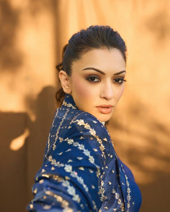 हंसिका मोटवानीचे गेल्या वर्षी फेब्रुवारीमध्ये उद्योगपती सोहेल कथुरियासोबत लग्न केले.