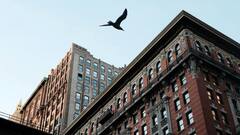 Weirdest Jobs In World: कहीं सोने के मिलते हैं पैसे तो कहीं चिड़िया भगाने की मोटी सैलरी, ये नौकरी मिल जाए तो मजे ही मजे