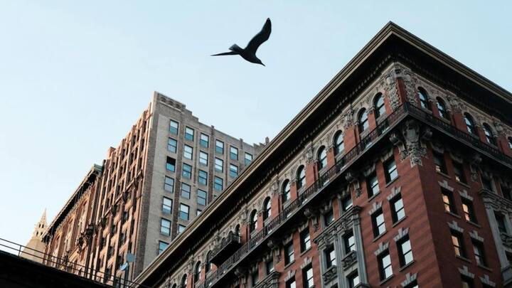 कोविड के बाद दुनिया में जॉब की बहुत कमी है. लेकिन यूके की मिस्टर चिप्स चिप्पी कंपनी ने एक अजीबो-गरीब जॉब निकाली थी. इसमें जॉब करने वाले शख्स को चिड़िया भगाने के लिए एक दिन के 20 हजार रुपये दिए जाते हैं. अगर आप चिड़िया भगाने में कामयाब रहे तो शाम को अकाउंट्स विभाग से 20 हजार लेकर जा सकते हैं.