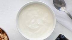 Diet Tips: পেটের সমস্যার দোসর ত্বকের রোগ, দইয়ের সঙ্গে ভুলেও খাবেন না এইসব খাবার…