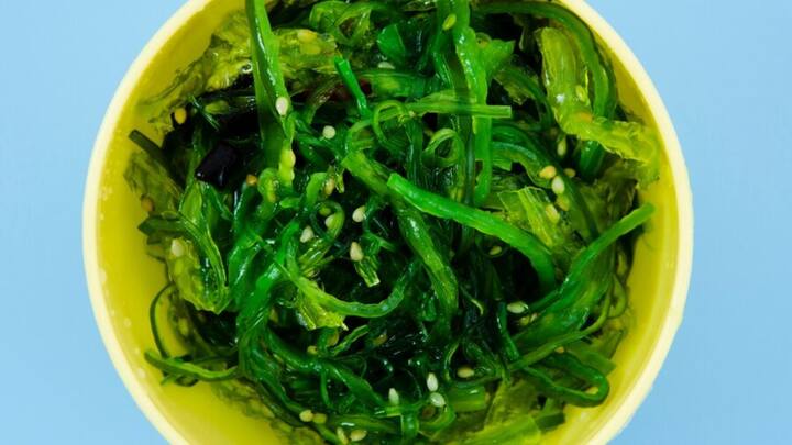 सीवीड को खाने के अलावा इसे और भी कई इंडस्ट्रीज में इस्तेमाल किया जा सकता है जैसे कि प्लास्टिक बनाने में, उर्वरक बनाने में और जानवरों के खाने में भी इसका इस्तेमाल हो सकता है.