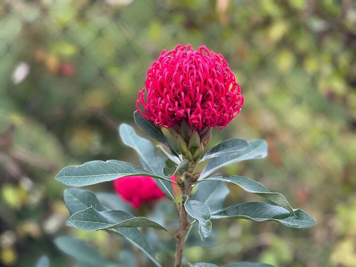 Fans were quick to engage with her post, with one curious follower asking who had clicked the stunning pictures.