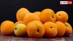 दिल के लिए फायदेमंद होता है खुबानी, रोजाना इस तरीके से खाएं