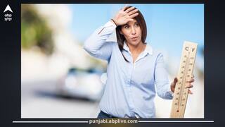 BP ਦੇ ਮਰੀਜ਼ਾਂ ਲਈ ਚੇਤਾਵਨੀ! ਵੱਧਦੀ ਗਰਮੀ ਅਤੇ ਤਿੱਖੀ ਧੁੱਪ ਸਿਹਤ ਲਈ ਖ਼ਤਰਨਾਕ? ਇੰਝ ਕਰੋ ਬਚਾਅ