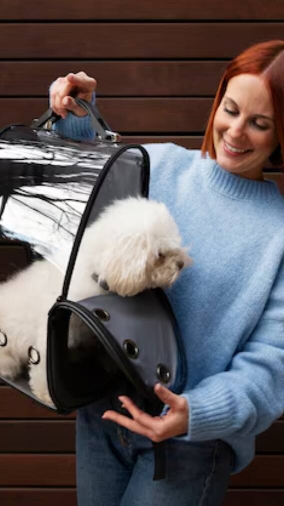 पालतू कुत्ते को ट्रेन में कैसे लेकर जा सकते हैं आप?