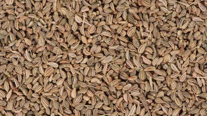 अजवाइन - अजवाइन में एंटी-डायबिटिक गुण होते हैं, जो मेटाबॉलिज्म को तेज करते हैं और ब्लड शुगर को नियंत्रित करने में मदद करते हैं. इसे चबाकर खाना चाहिए या फिर अजवाइन पानी पीने से लाभ मिल सकता है. इससे शुगर लेवल कंट्रोल में रहता है.