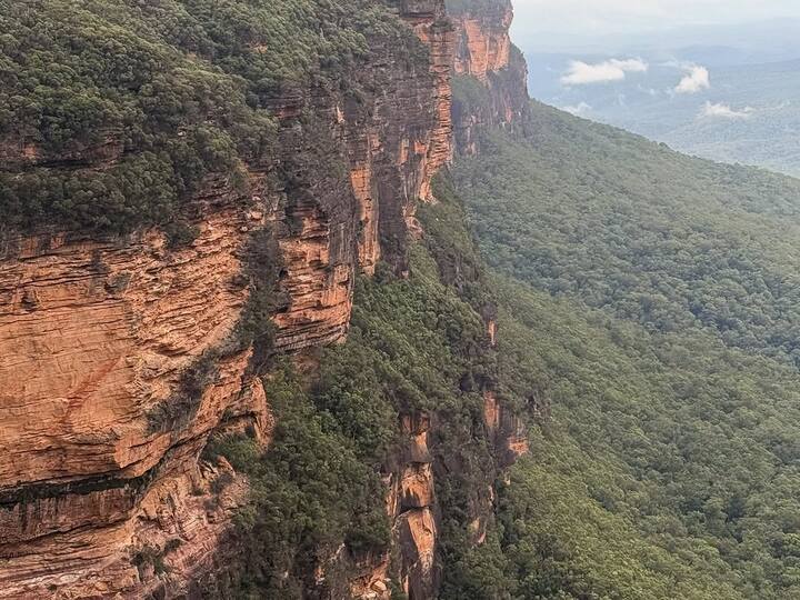 Sharing her experience on social media, Samantha expressed her joy in spending time with wildlife, embracing the serenity and charm of nature.