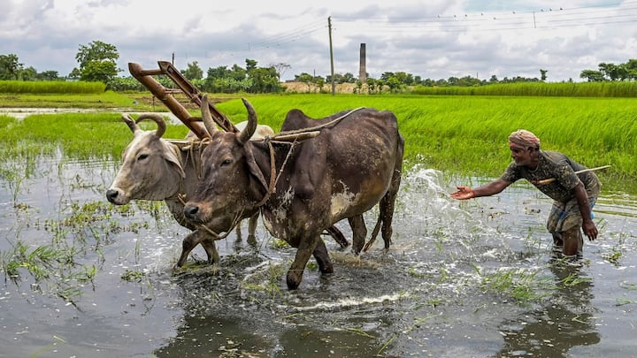 শুক্রবার ও শনিবার হালকা মাঝারি বৃষ্টির সম্ভাবনা। শুক্রবার উত্তরবঙ্গের উপরের দিকের তিন জেলাতে হালকা মাঝারি বৃষ্টির সম্ভাবনা।