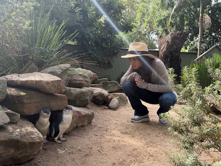 On the professional front, Samantha was last seen in Citadel: Hunny Bunny alongside Varun Dhawan. She is set to return in the much-anticipated The Family Man Season 3, directed by Raj & DK, where she will share the screen with Manoj Bajpayee, Priyamani, and Jaideep Ahlawat.