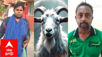 Nagapattinam Goat theft lady complaint with goat head tnn வெட்டப்பட்ட தலையுடன் காவல்நிலையம் வந்த பெண் - அதிர்ச்சியில் உறைந்த போலீஸ்