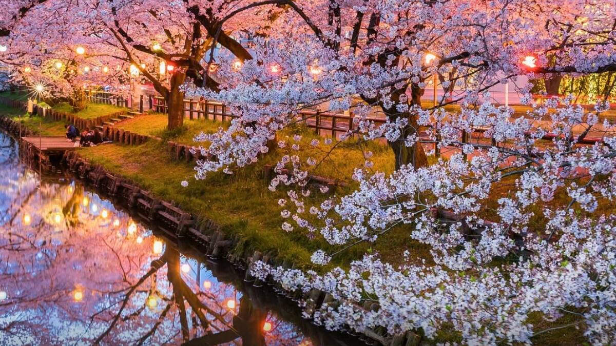 (Image Source: Instagram/@curly.tales)