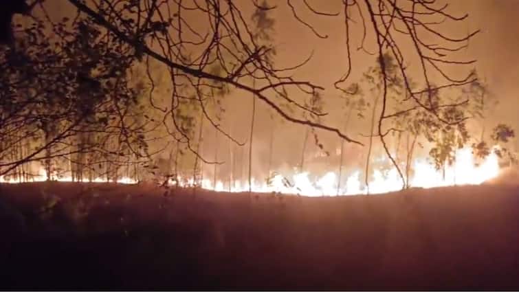 Fireplace At Mahatma Gandhi College In Nalgonda, 100 Acres Of Inexperienced Cowl Destroyed: Video