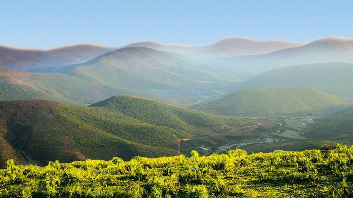 (Image Source: Twitter/ odisha_tourism)