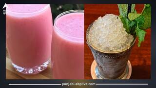 ਏਸੀ ਨੂੰ ਵੀ ਕਰ ਦੇਵੇਗੀ ਫੇਲ੍ਹ! ਕਹਿਰ ਦੀ ਗਰਮੀ 'ਚ ਵੀ ਸਰੀਰ ਰਹੇਗਾ ਠੰਢਾ-ਠੰਢਾ...ਕੂਲ-ਕੂਲ